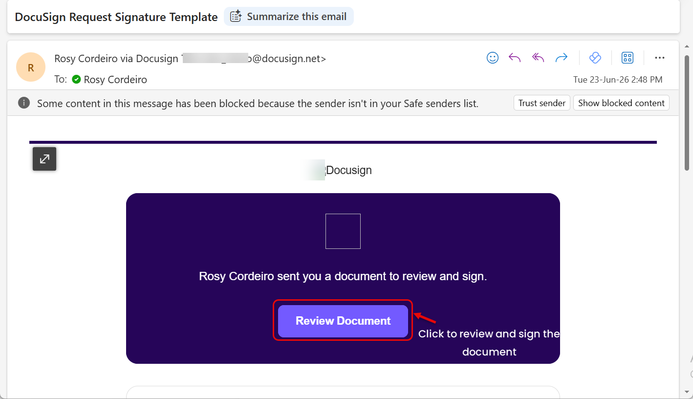 DocuSign signature request email showing the sender name and the Review Document button