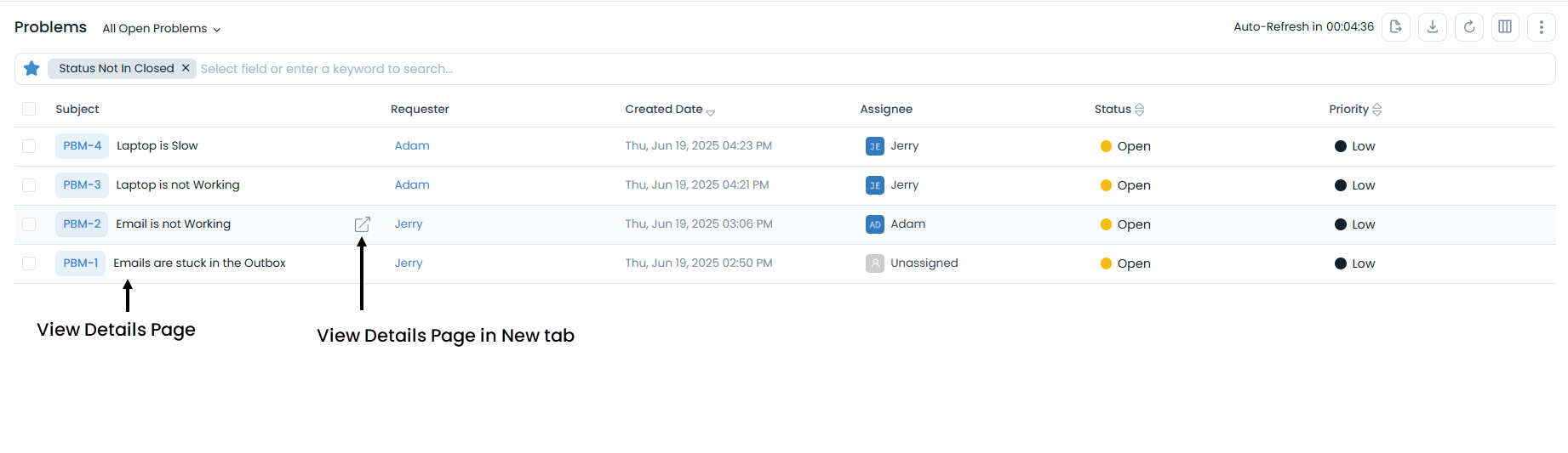 Options to open Problem Details Page