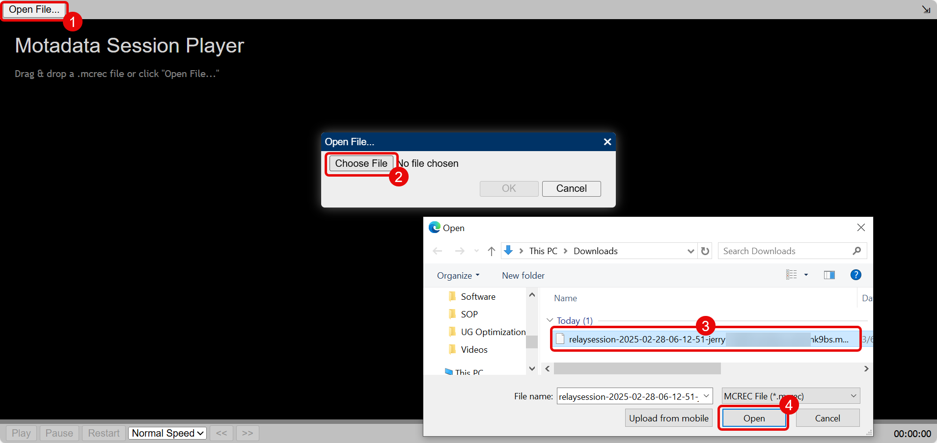 Recorded RDP Sessions