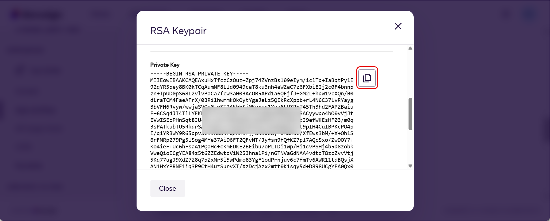DocuSign RSA Keypair dialog showing the private key in PEM format with a copy button
