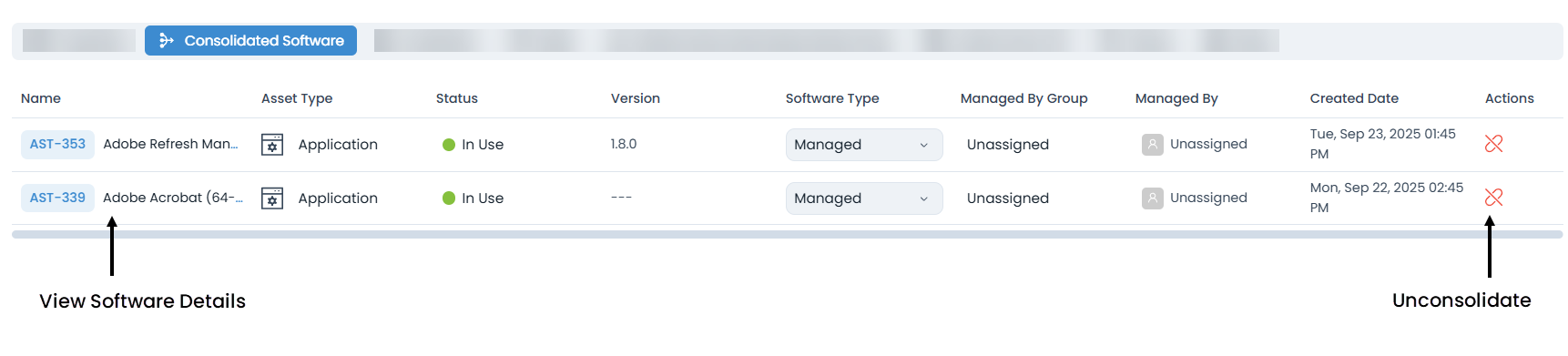 Consolidated Software Tab