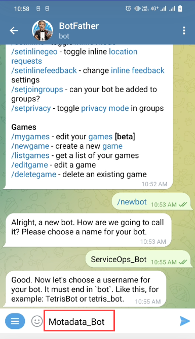 Enter the Username for the bot